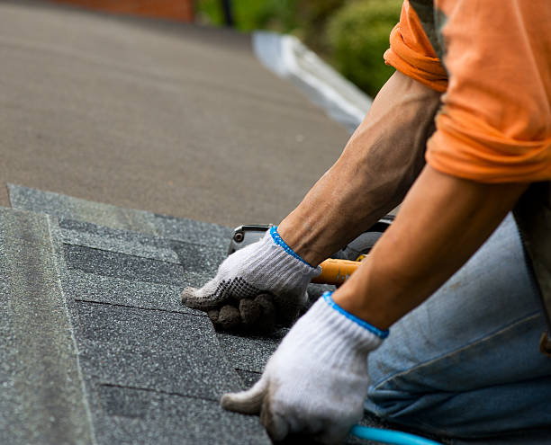 Best Roof Maintenance Services  in Martsville, IN